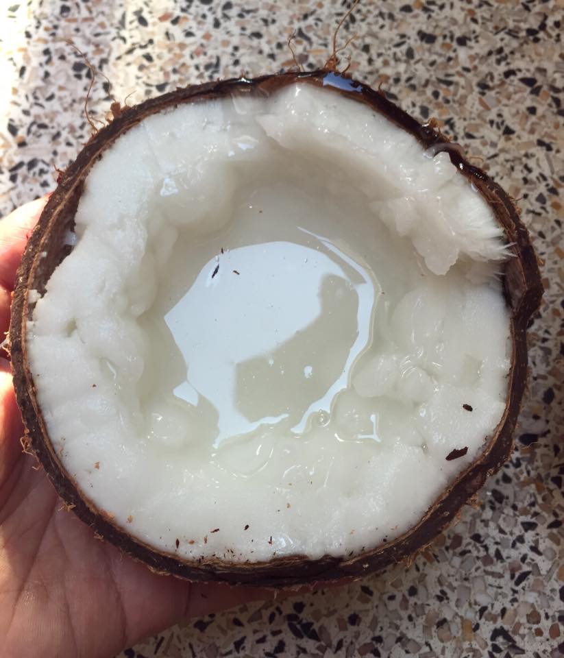 a coconut3