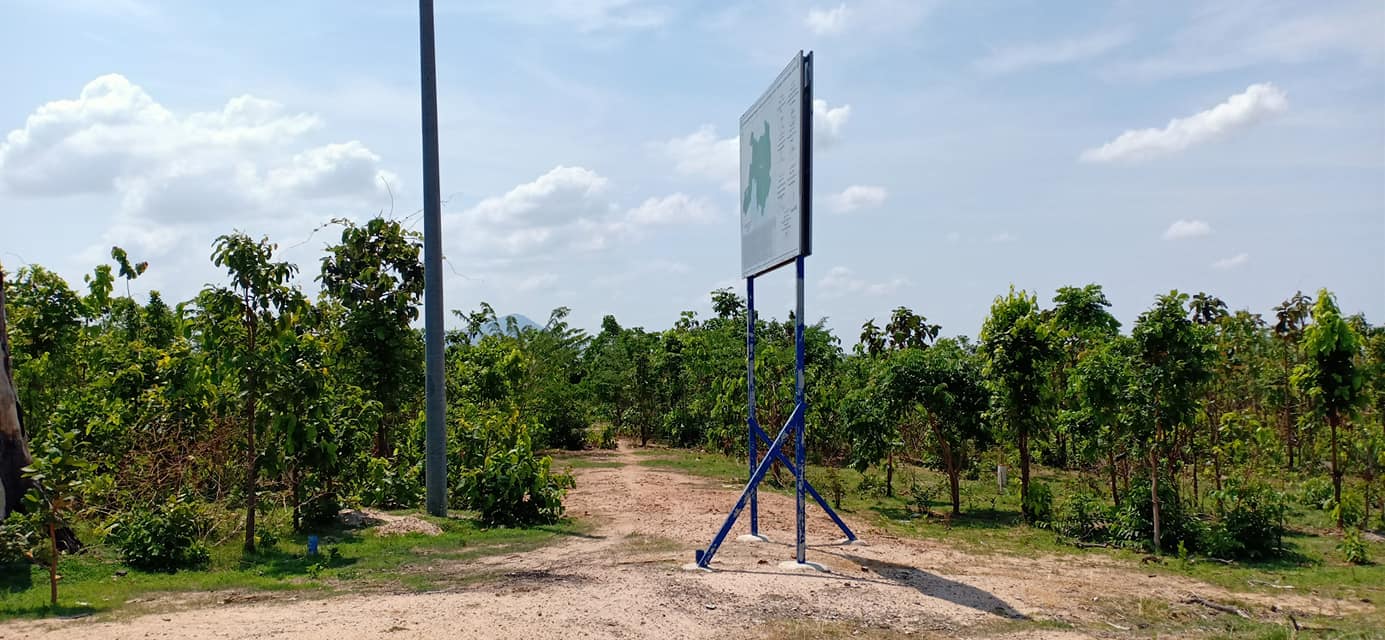 a krosang4