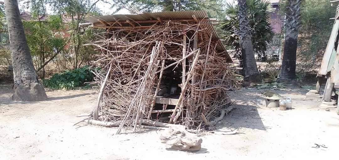 a home old lady
