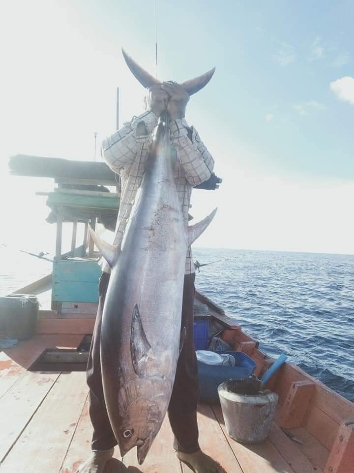 a fish tuna