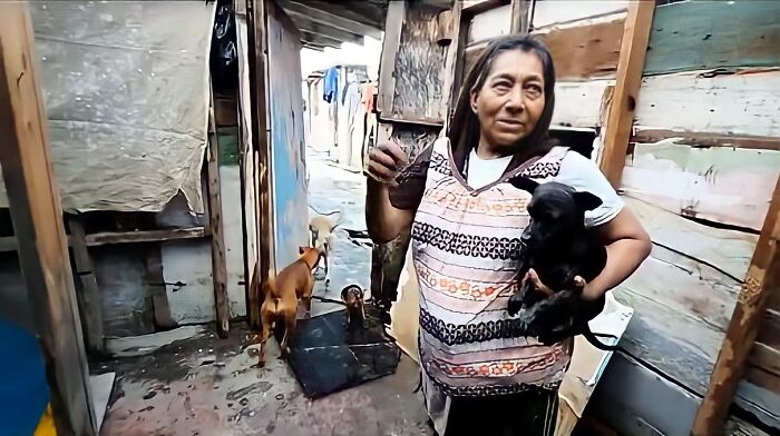 a dog love3