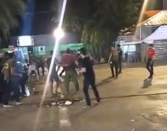 a gun pet