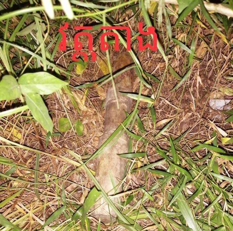 a kill wife2