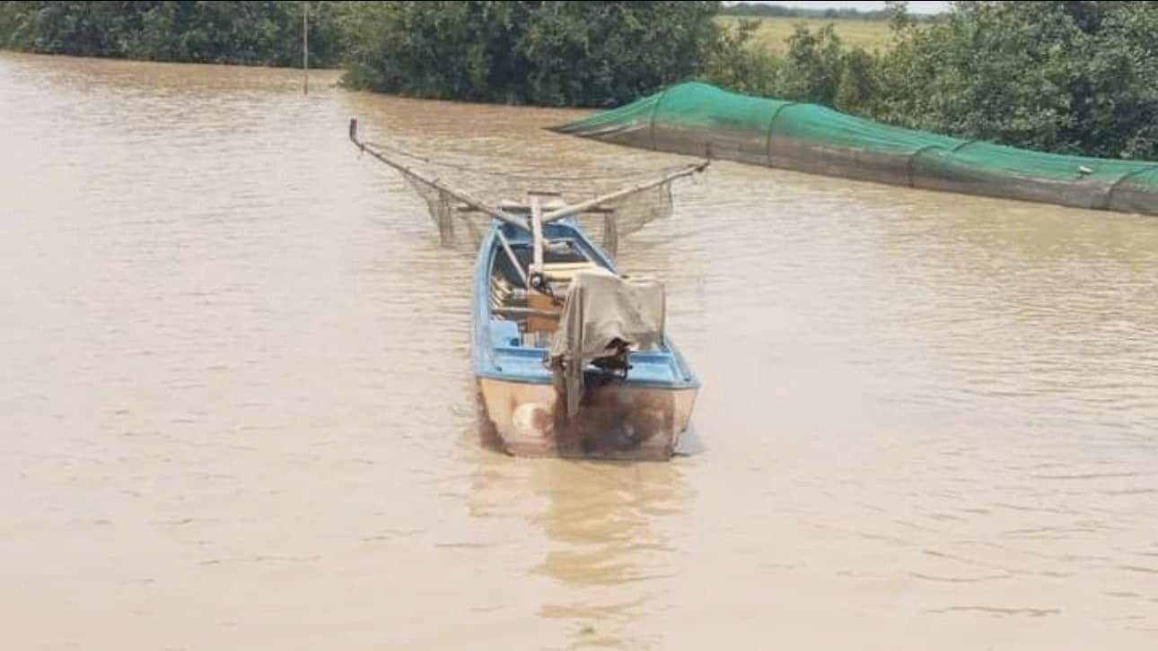 a fish chnang