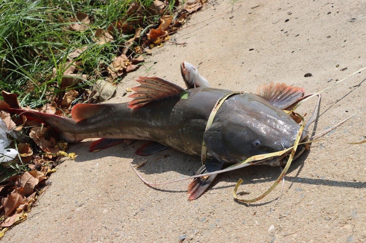 a fish river1