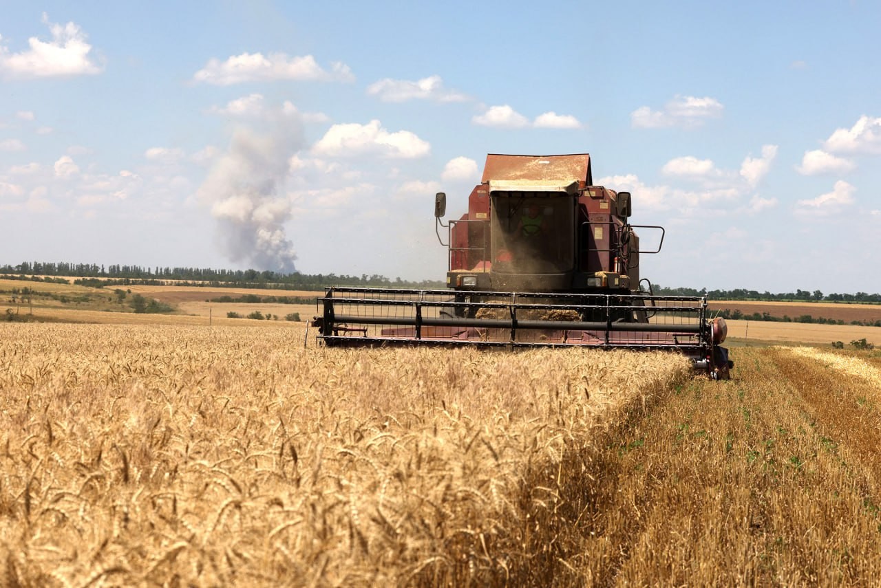 a rice black sea2