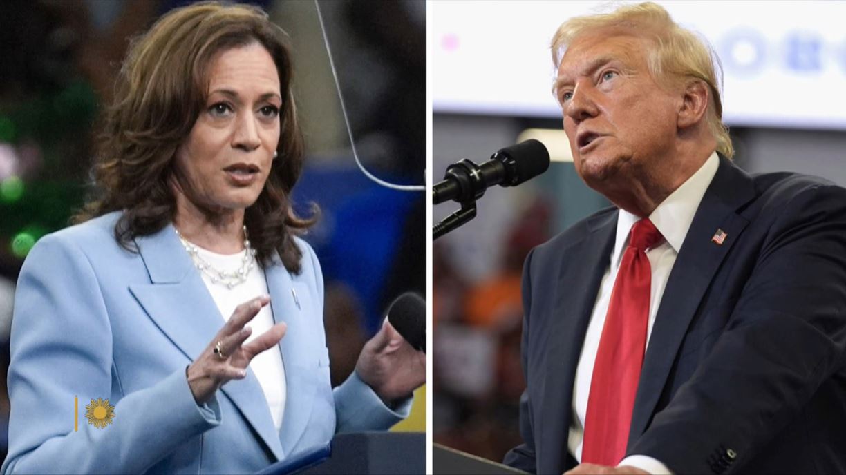 a trump harris
