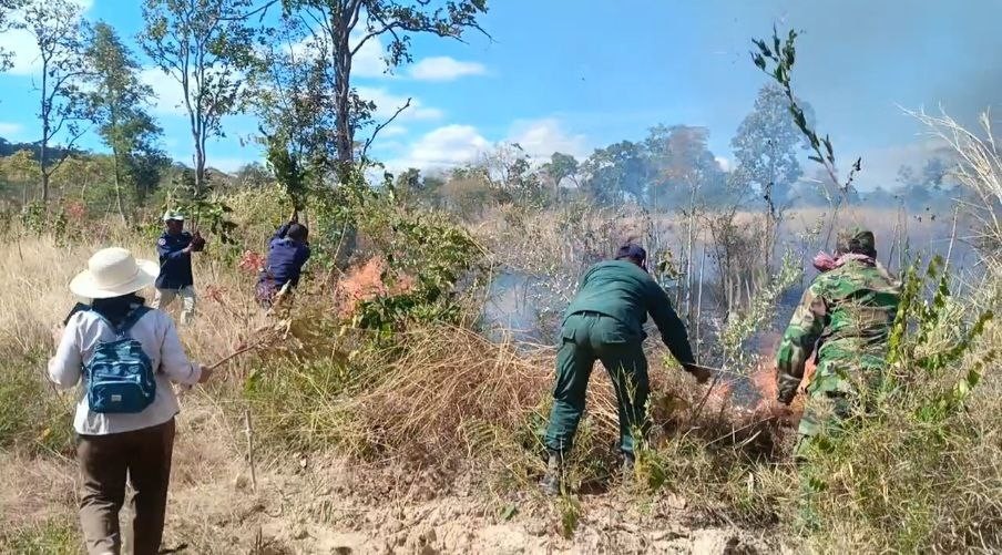 a fire inviroment