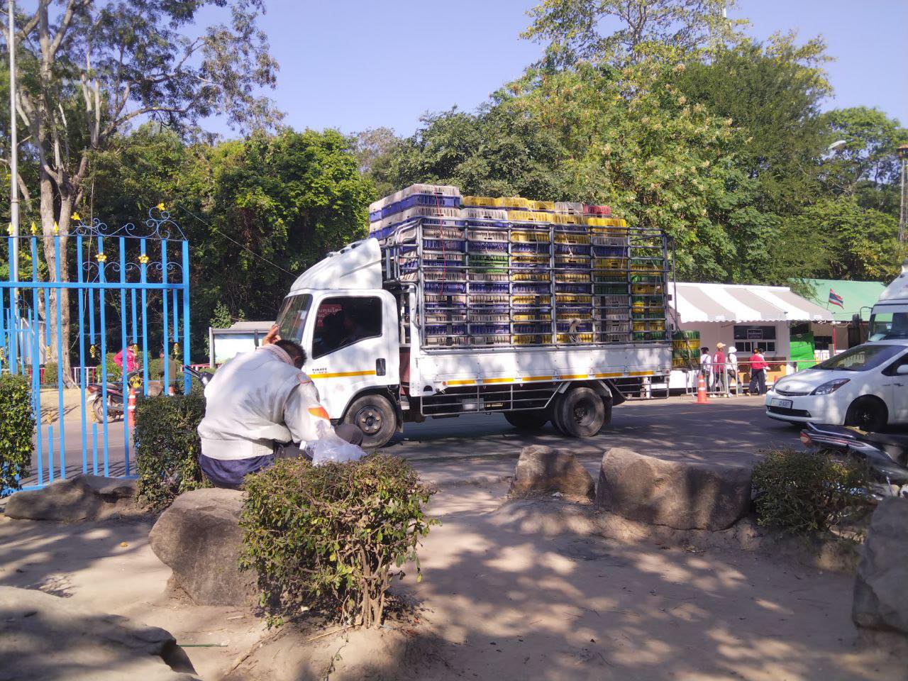 a chiken import3
