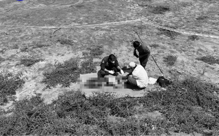 a kill wife2