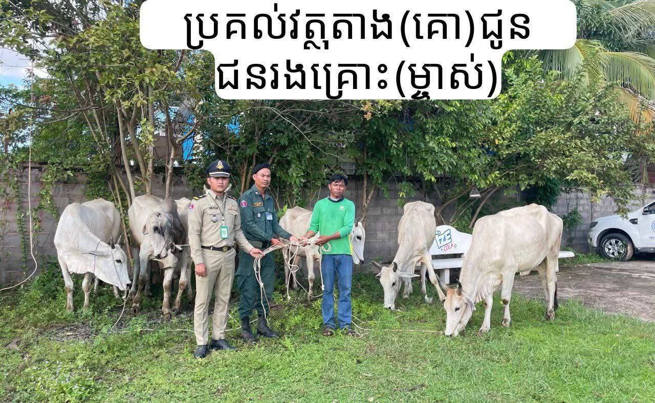 a cow thief4