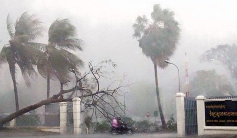 a k storm1