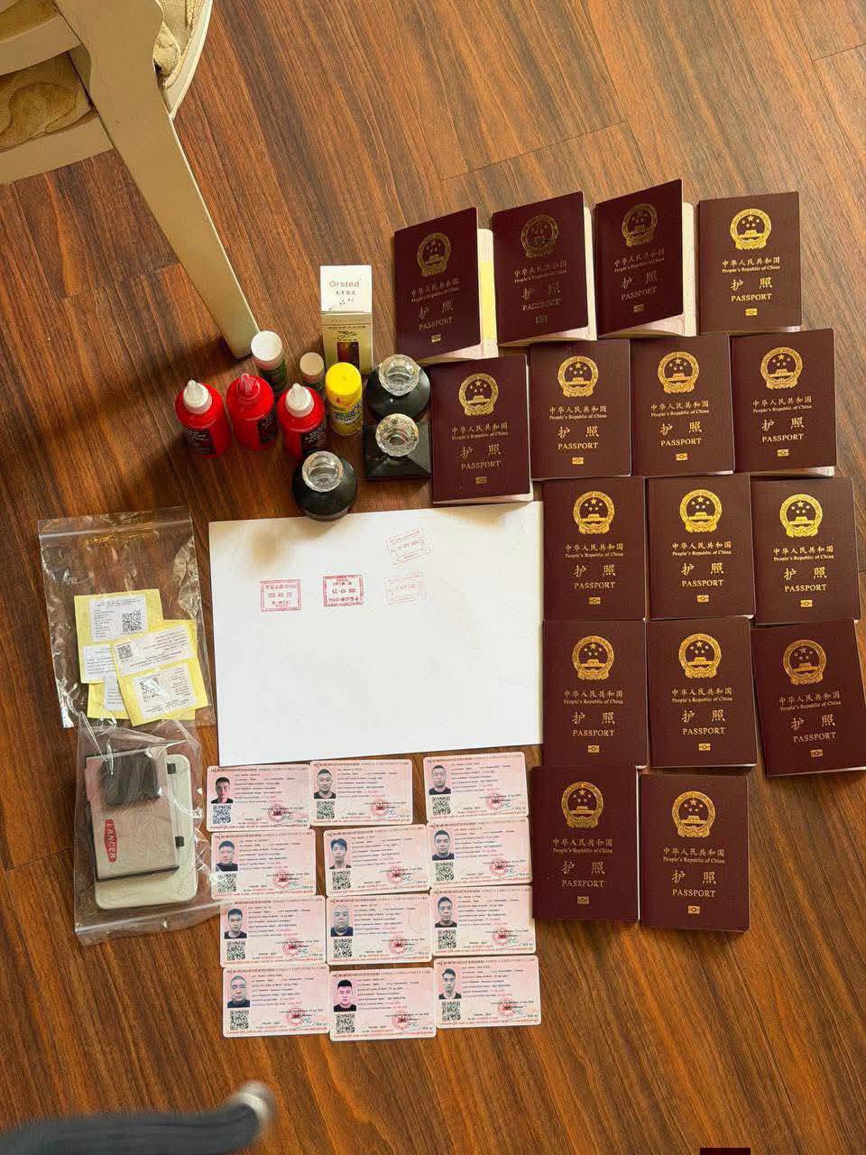 a fake pasport1