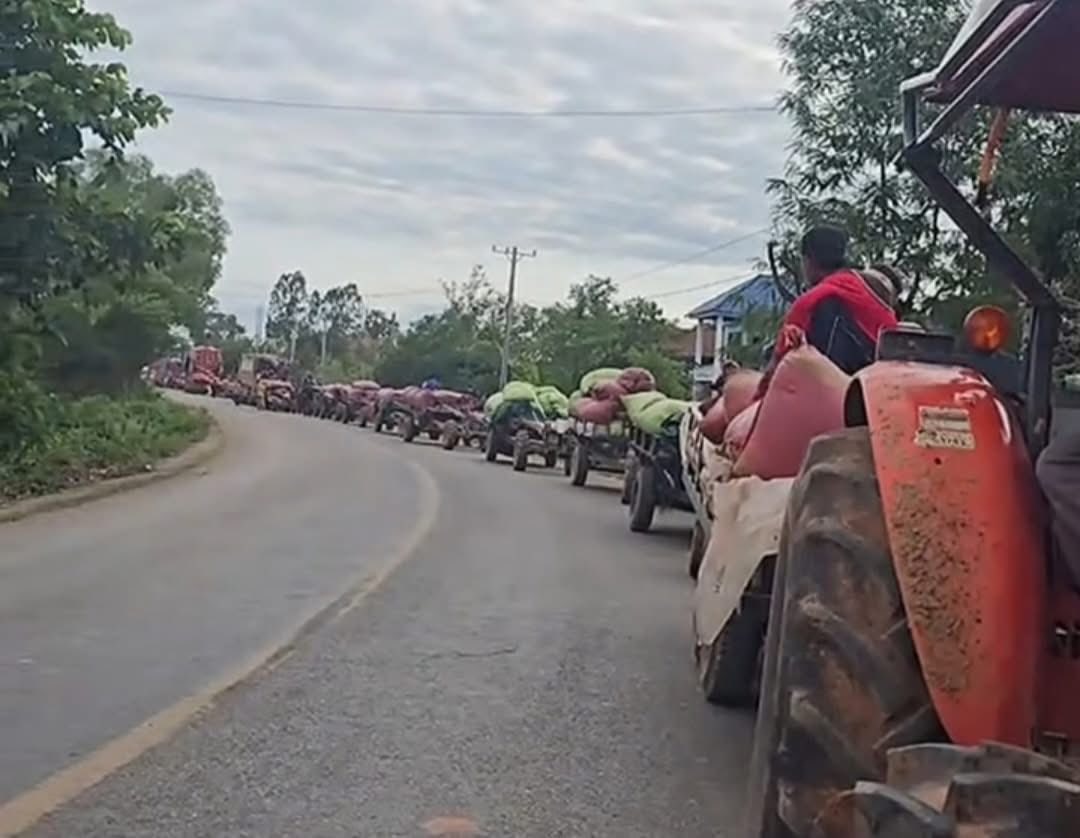 a rice