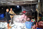 វៀតណាម ទើបរកឃើញទីតាំងកាប់ជ្រូកឆ្លងឈឺ យកធ្វើប៉ាតេ និងប្រហិត លក់លើទីផ្សារ ជាង ២ឆ្នាំមកហើយ 